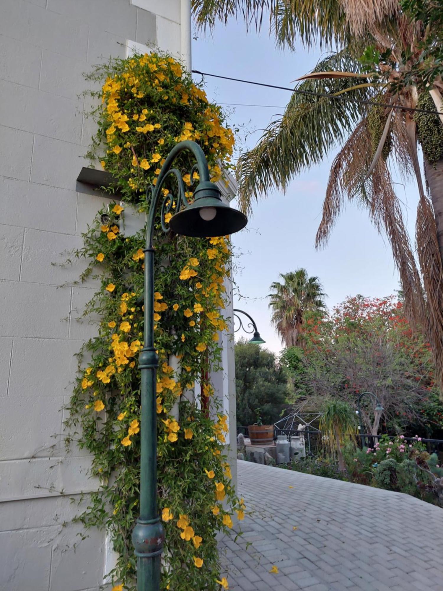 Haus Mueller Ξενοδοχείο Clanwilliam Εξωτερικό φωτογραφία